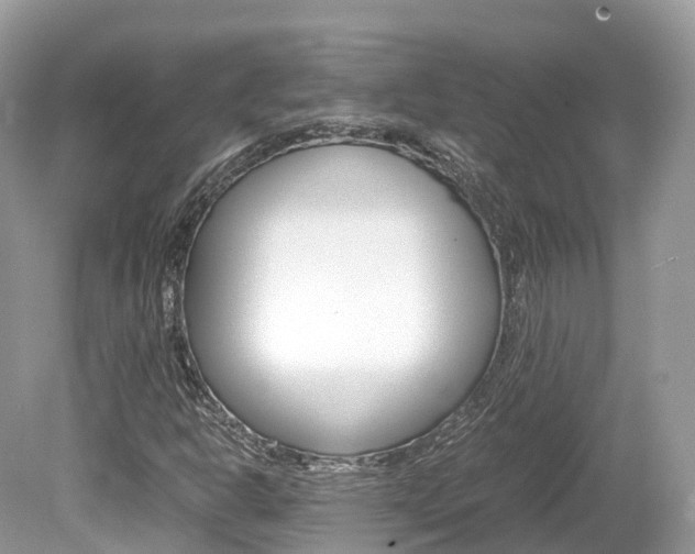 X0000080191302200612081149