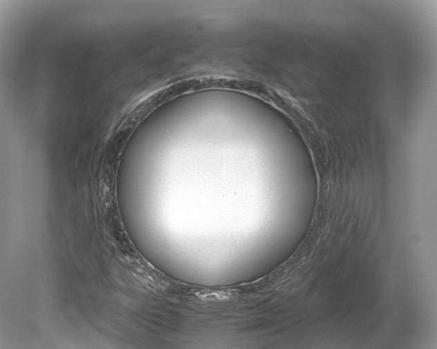 X0000080191303200612081149