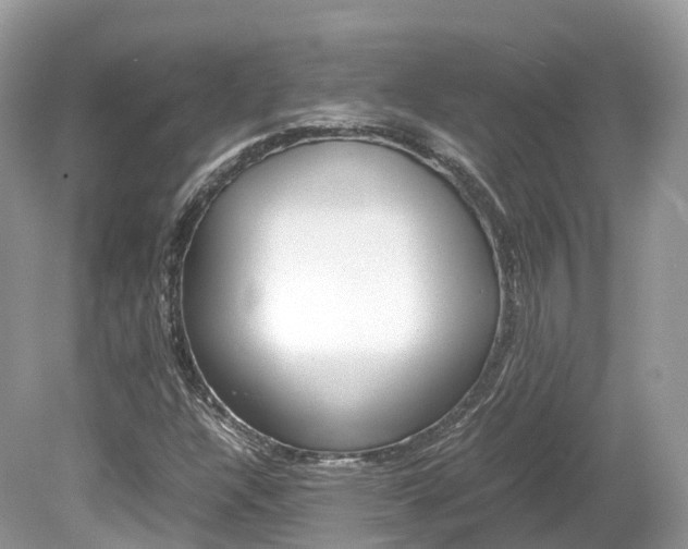 X0000080191304200612081149