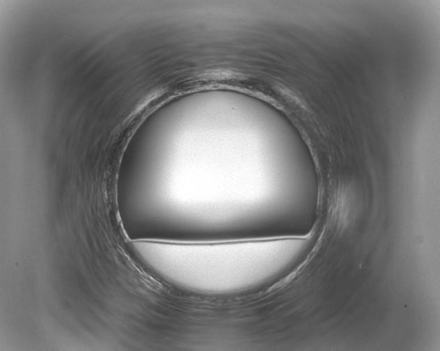 X0000080191305200612081149