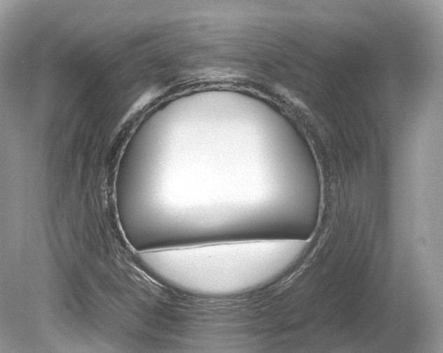 X0000080191306200612081149