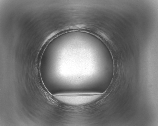 X0000080191308200612081149