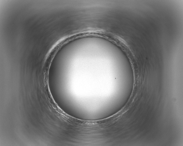X0000080191310200612081149