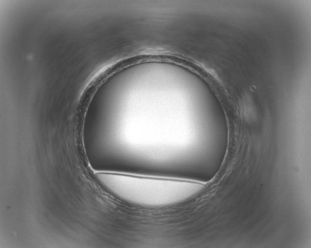 X0000080191311200612081149