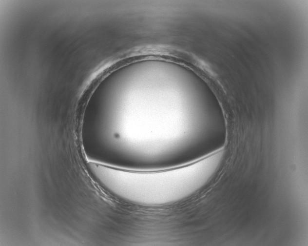 X0000080191312200612081149