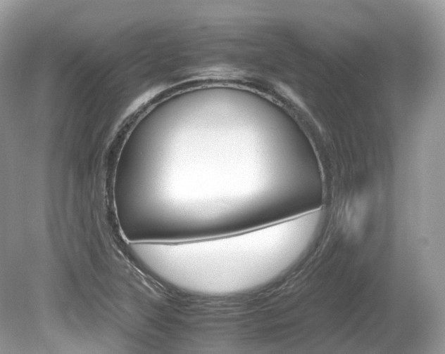 X0000080191315200612081149