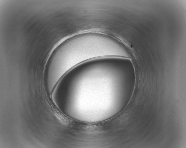 X0000080191316200612081150