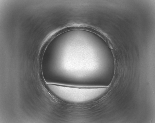 X0000080191319200612081150