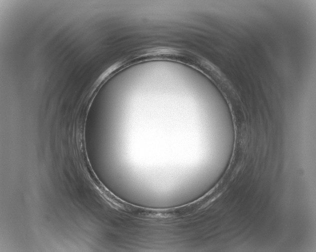 X0000080191321200612081150