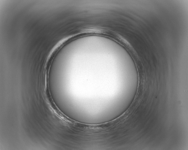 X0000080191323200612081150