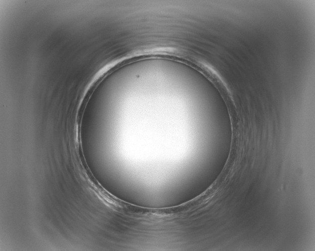 X0000080191324200612081150