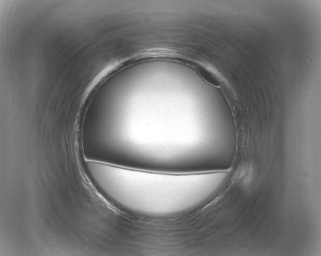 X0000080191325200612081150