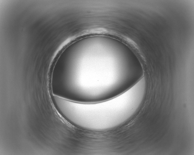 X0000080191326200612081150
