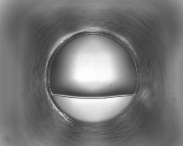 X0000080191327200612081150