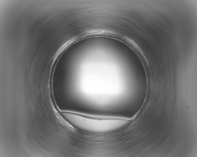 X0000080191330200612081150