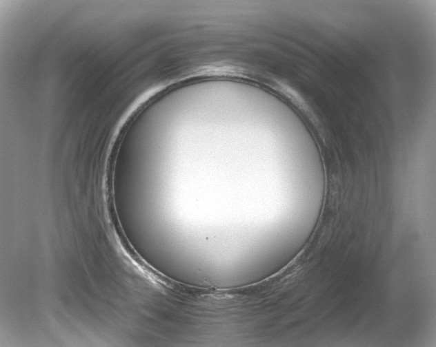 X0000080191331200612081150