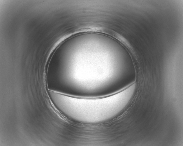 X0000080191332200612081150
