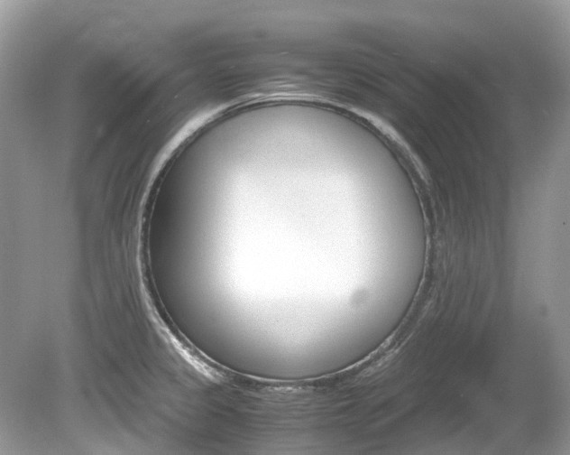 X0000080191333200612081150