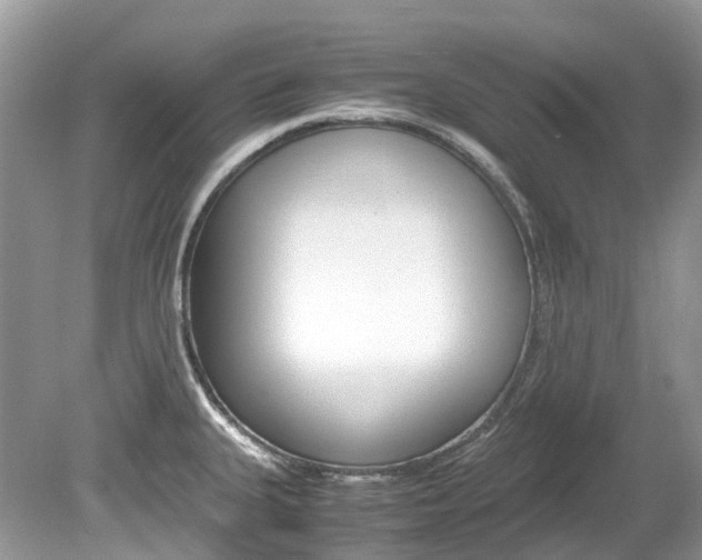 X0000080191335200612081150