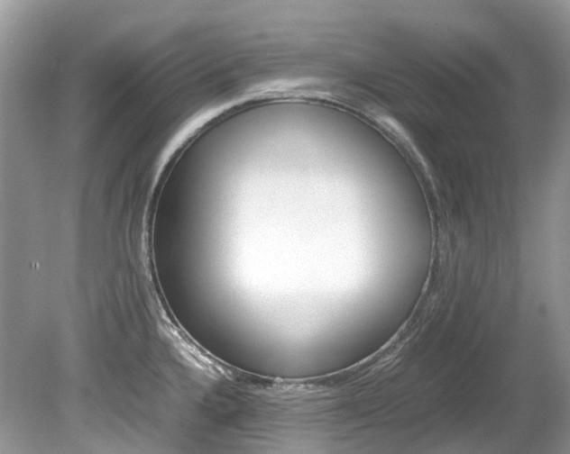 X0000080191336200612081150