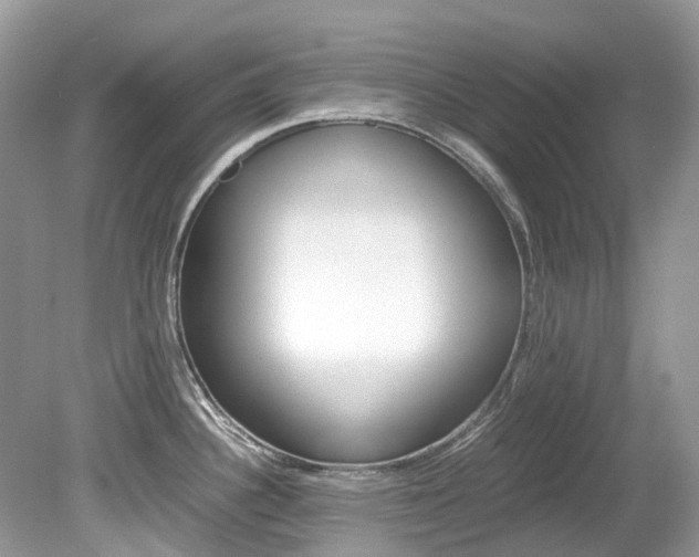 X0000080191340200612081150