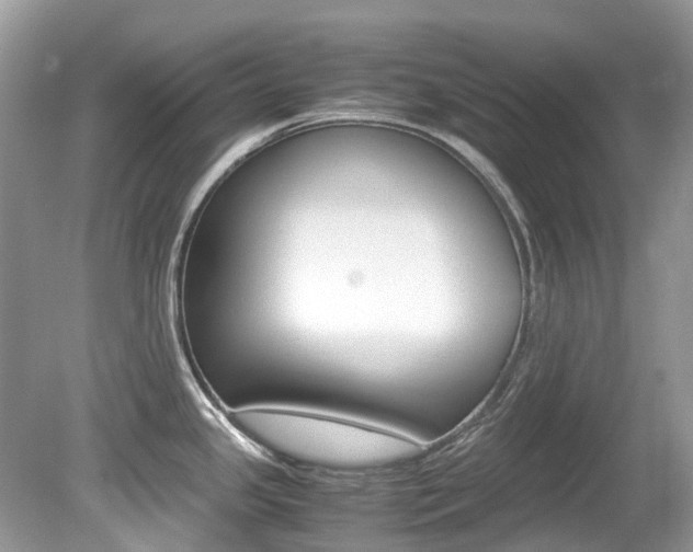 X0000080191341200612081150