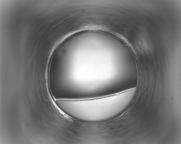 X0000080191343200612081150