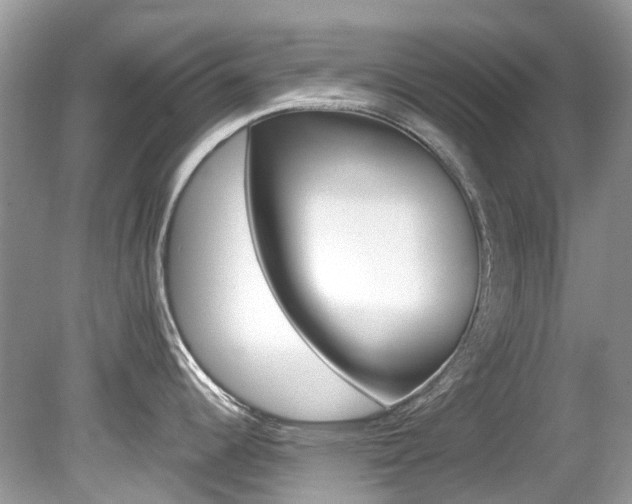 X0000080191344200612081150