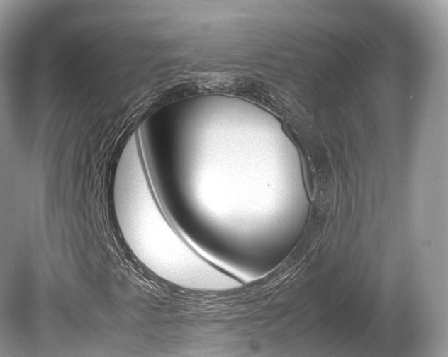 X0000080191345200612081149