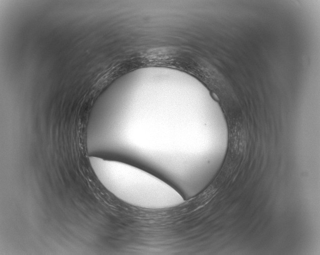 X0000080191346200612081149