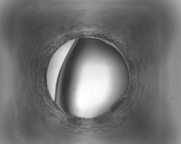 X0000080191349200612081149