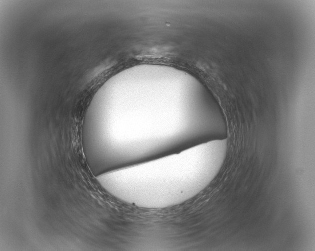 X0000080191350200612081149