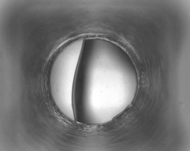 X0000080191352200612081149