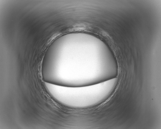 X0000080191353200612081149