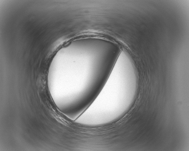 X0000080191355200612081149