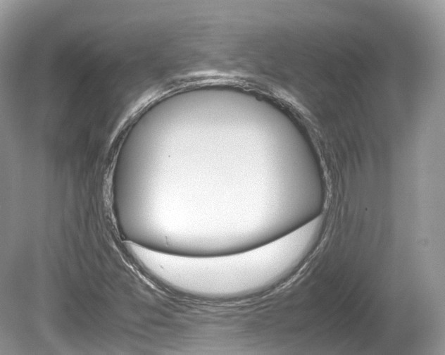 X0000080191357200612081149