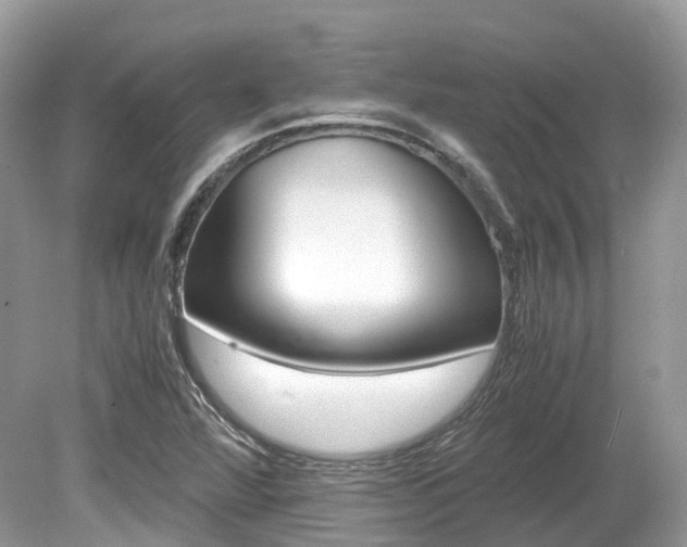 X0000080191360200612081149