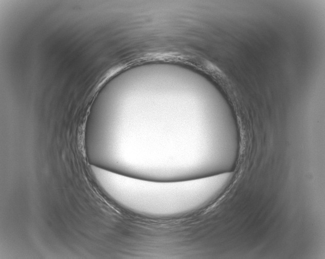 X0000080191361200612081149