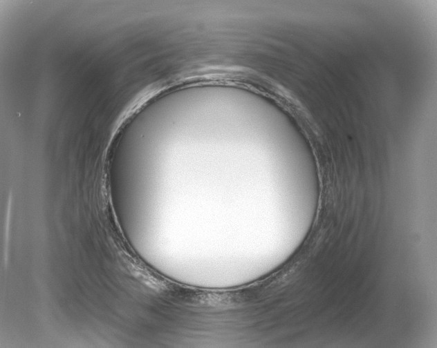 X0000080191362200612081149