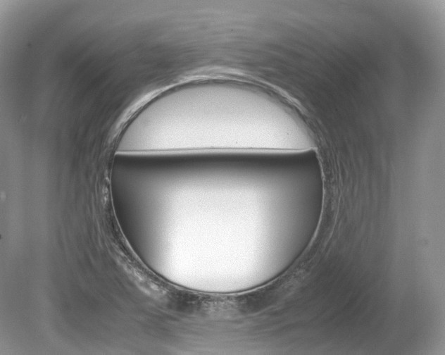 X0000080191363200612081149