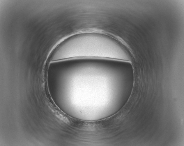X0000080191364200612081149
