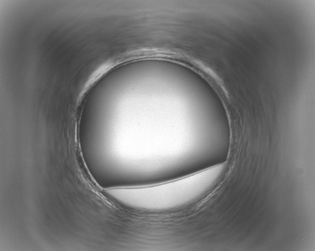 X0000080191365200612081149