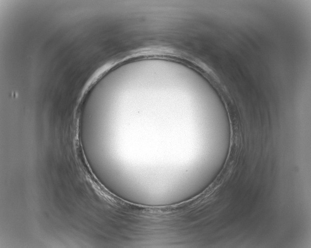 X0000080191366200612081149