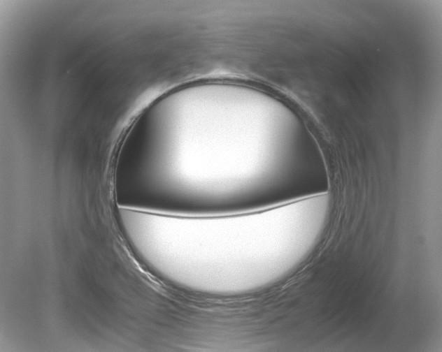 X0000080191367200612081149