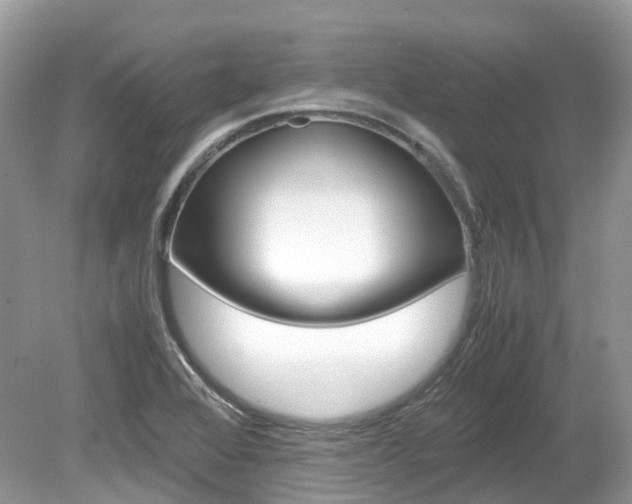X0000080191368200612081149