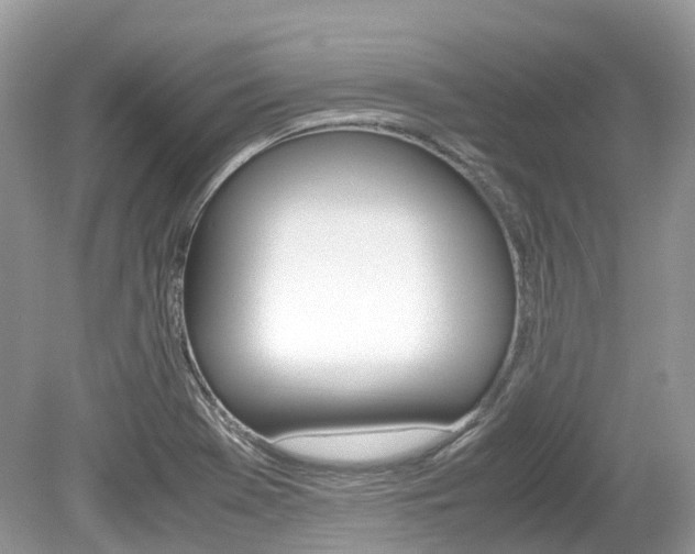 X0000080191369200612081149
