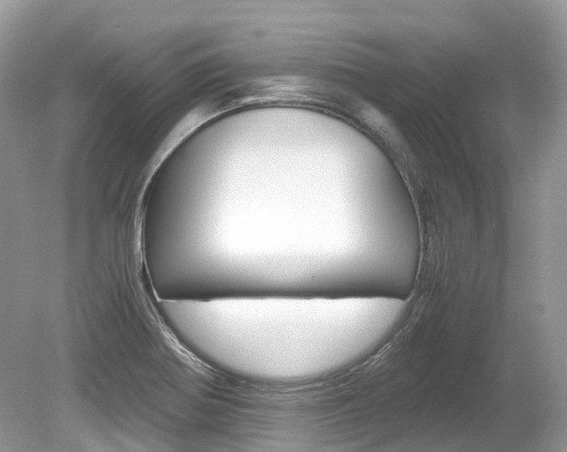 X0000080191370200612081149
