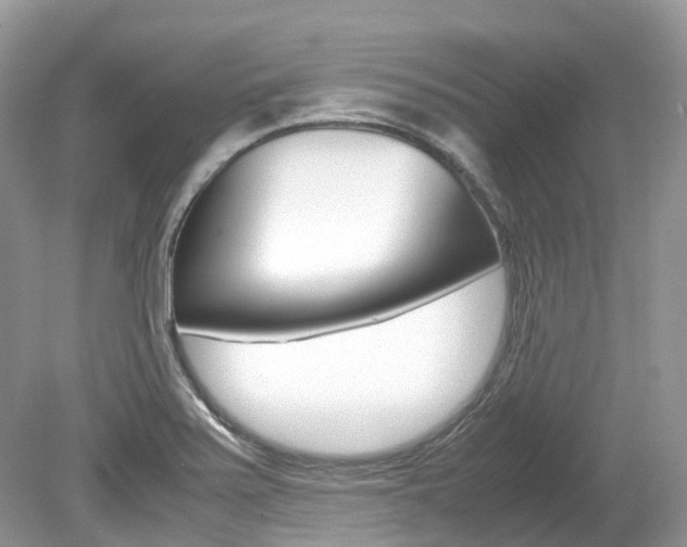 X0000080191371200612081149