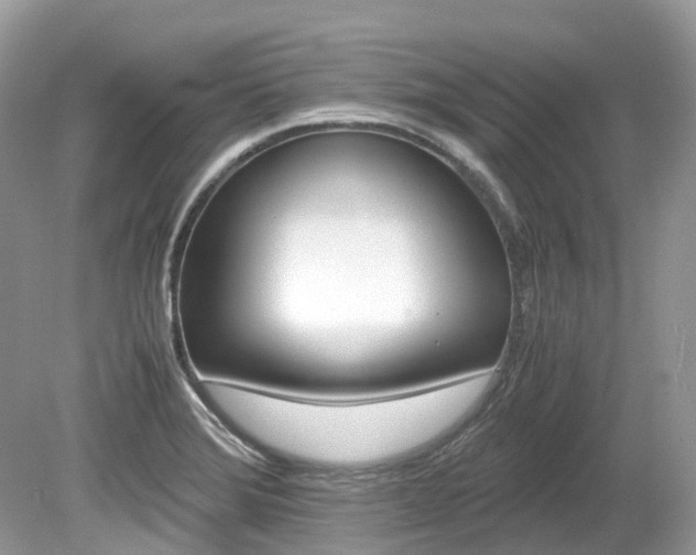 X0000080191372200612081149