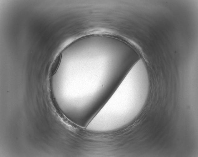 X0000080191375200612081149
